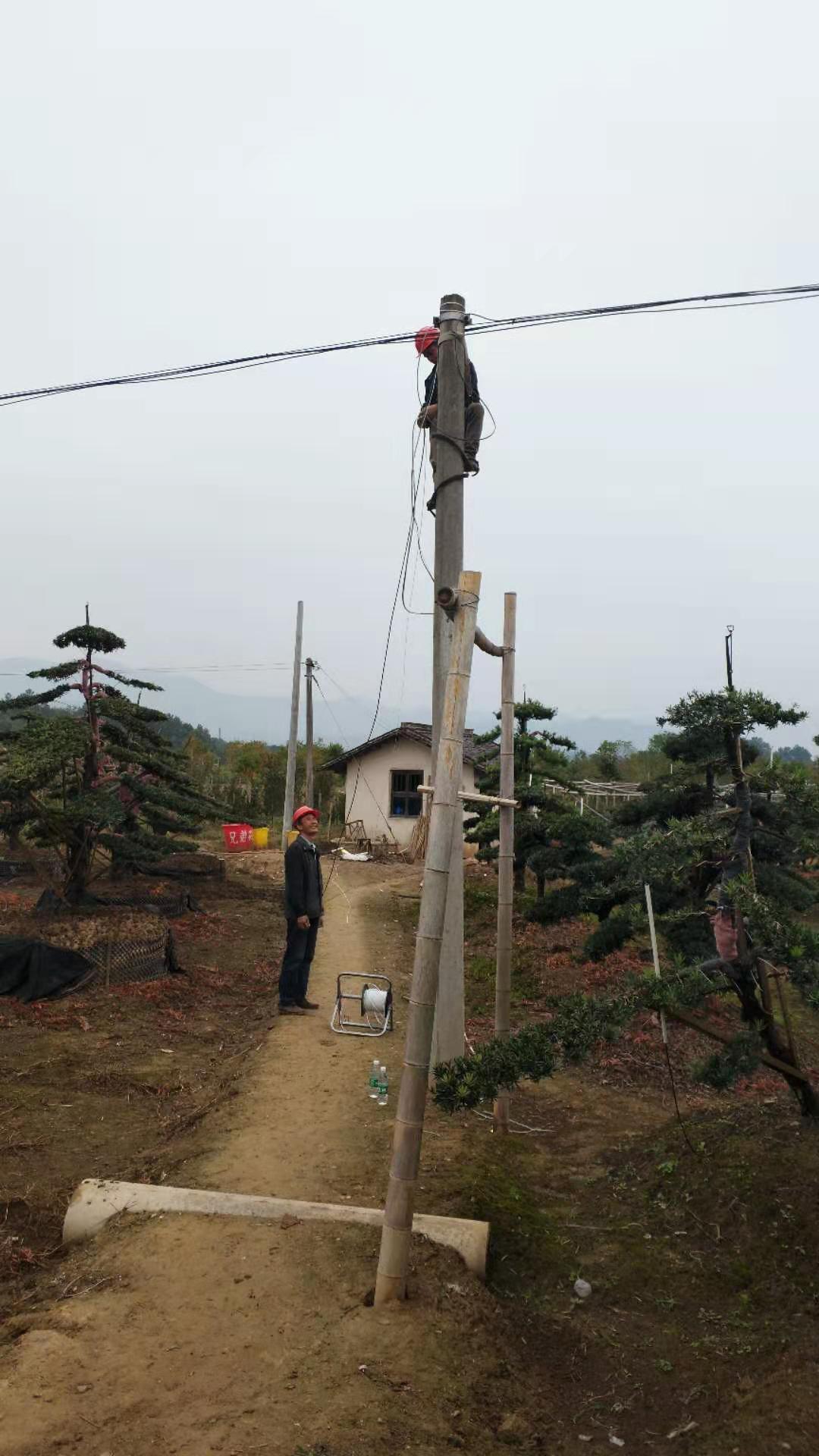 官渡徐家橋園林 官渡徐家橋園林